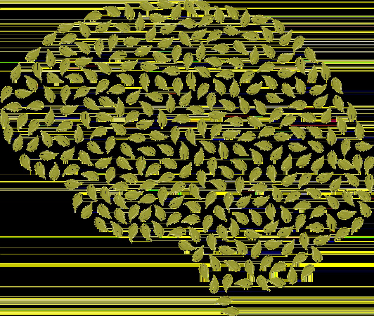 Poliurija kod pasa: simptomi, uzroci i liječenje