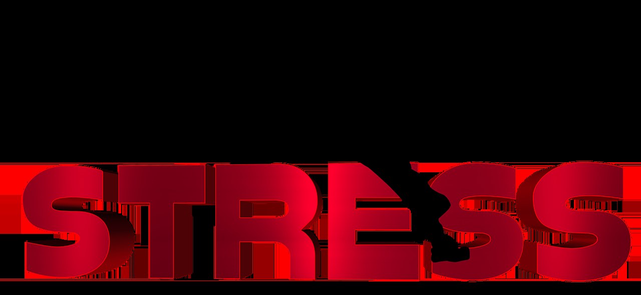 Ketokonazol za pse: primjena, doziranje i nuspojave