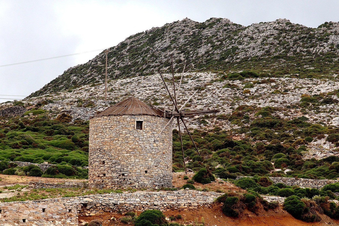Clindamicin za pse: Primjena, doziranje i nuspojave
