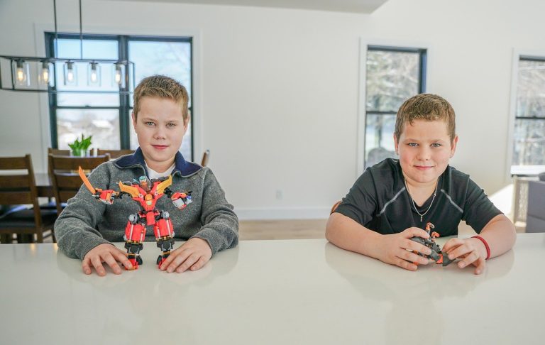 Metoklopramid za pse: primjena, doziranje i nuspojave