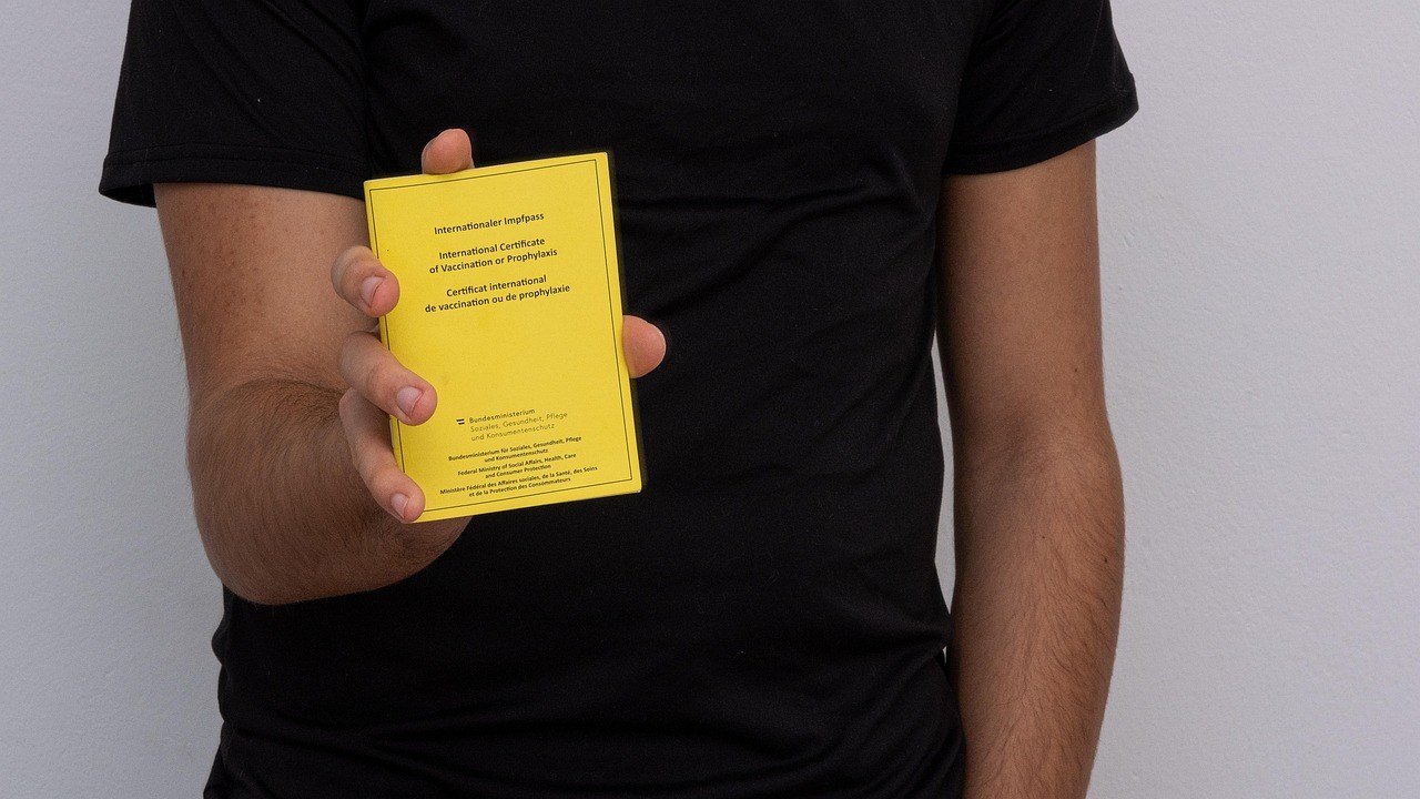 Stafilokokna infekcija kod pasa: simptomi, uzroci i liječenje