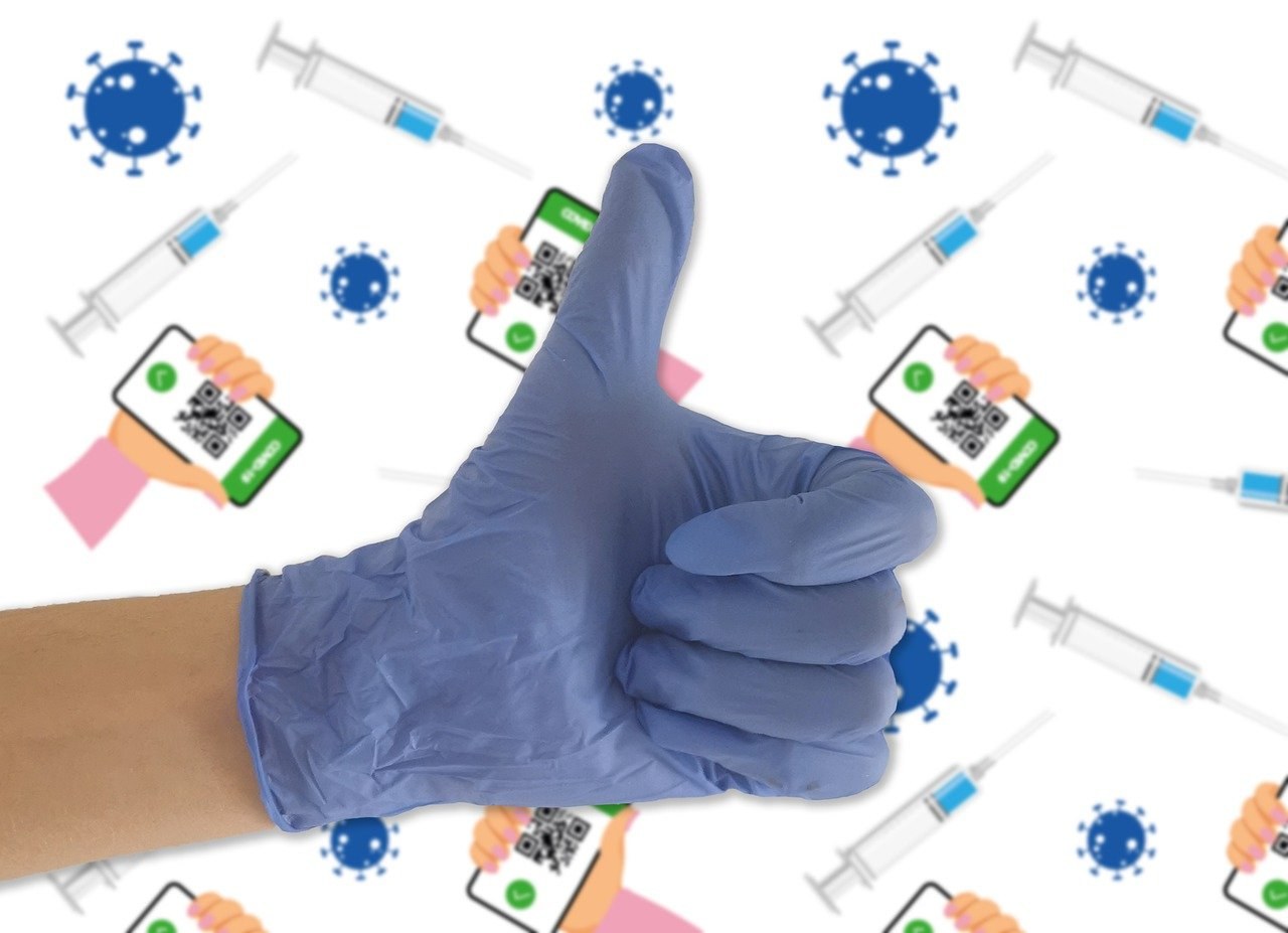 Stafilokokna infekcija kod pasa: simptomi, uzroci i liječenje