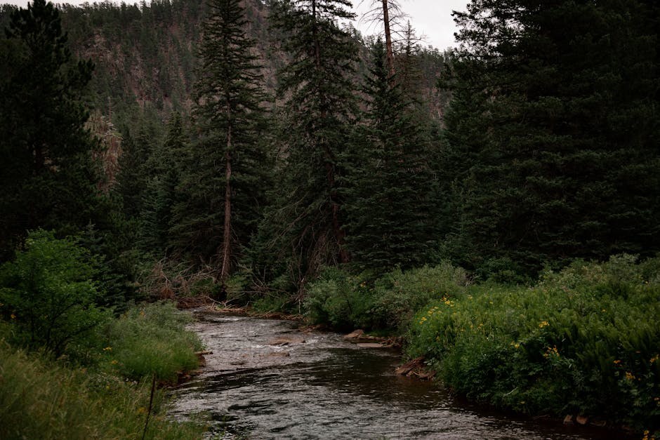 Fluoksetin (Prozac) za pse: primjena, doziranje i nuspojave