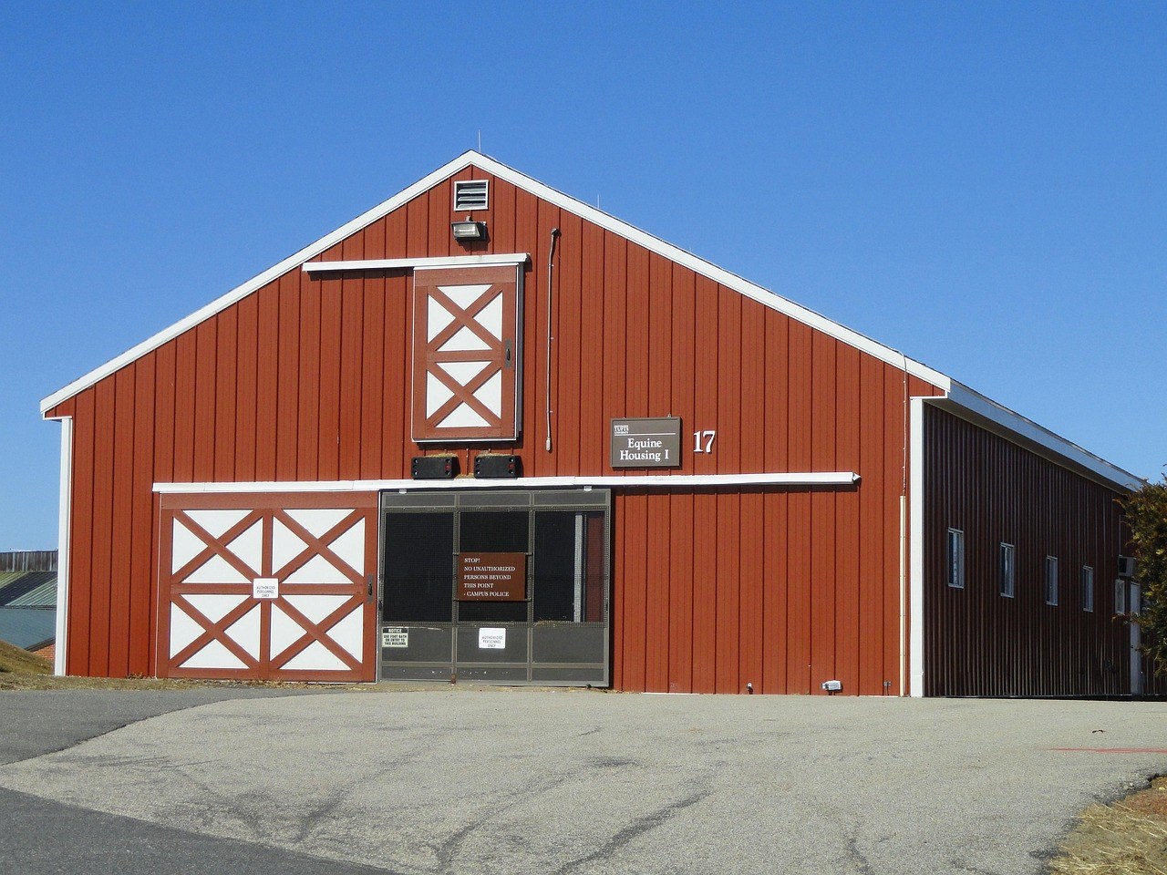 Smiju li psi jesti školjke? Jesu li sigurne za pse?