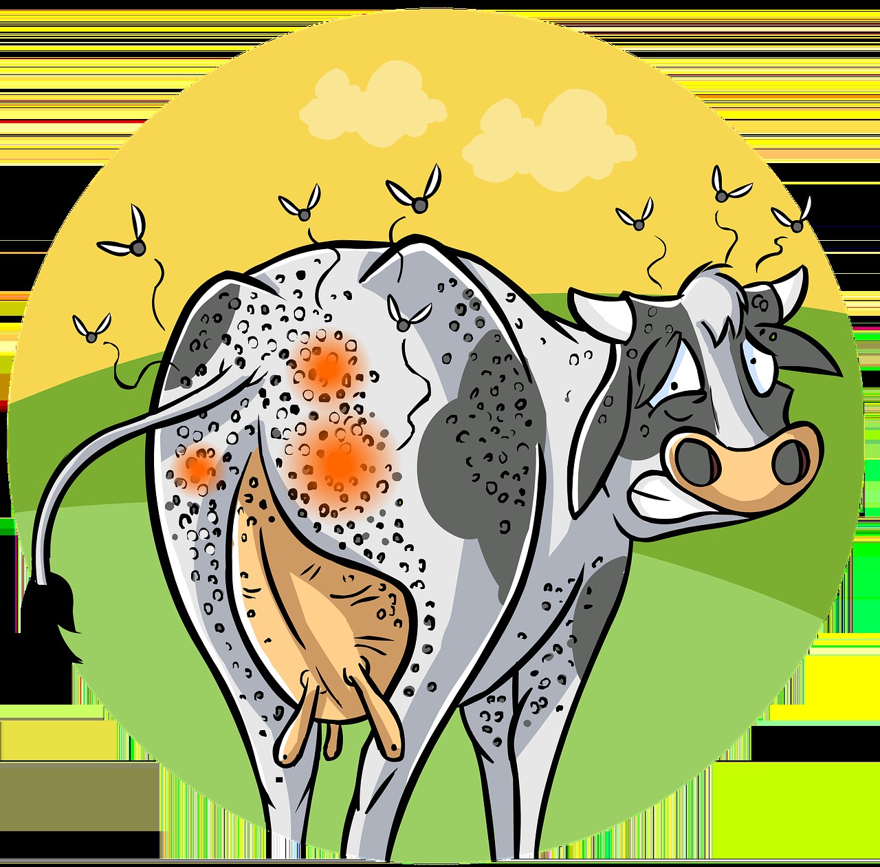 Smiju li psi jesti školjke? Jesu li sigurne za pse?