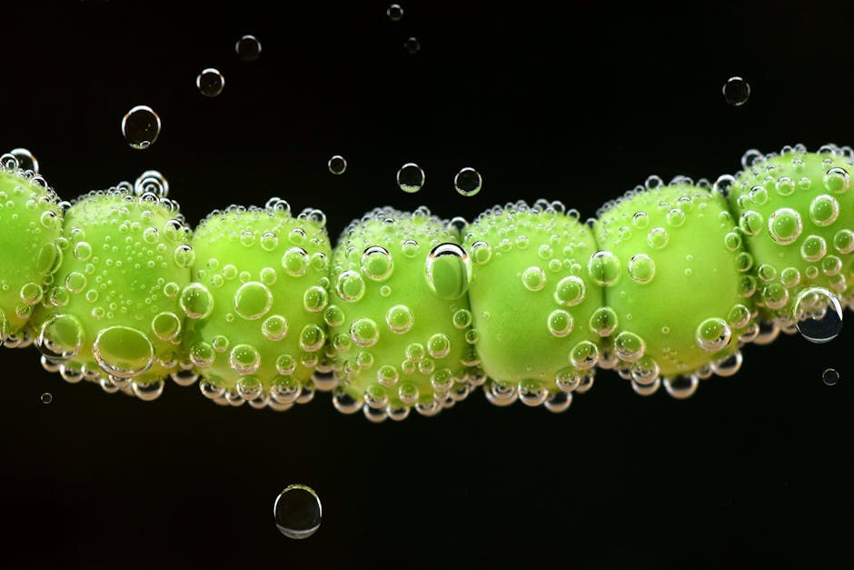 Smiju li psi jesti puretinu - je li sigurna za njih?