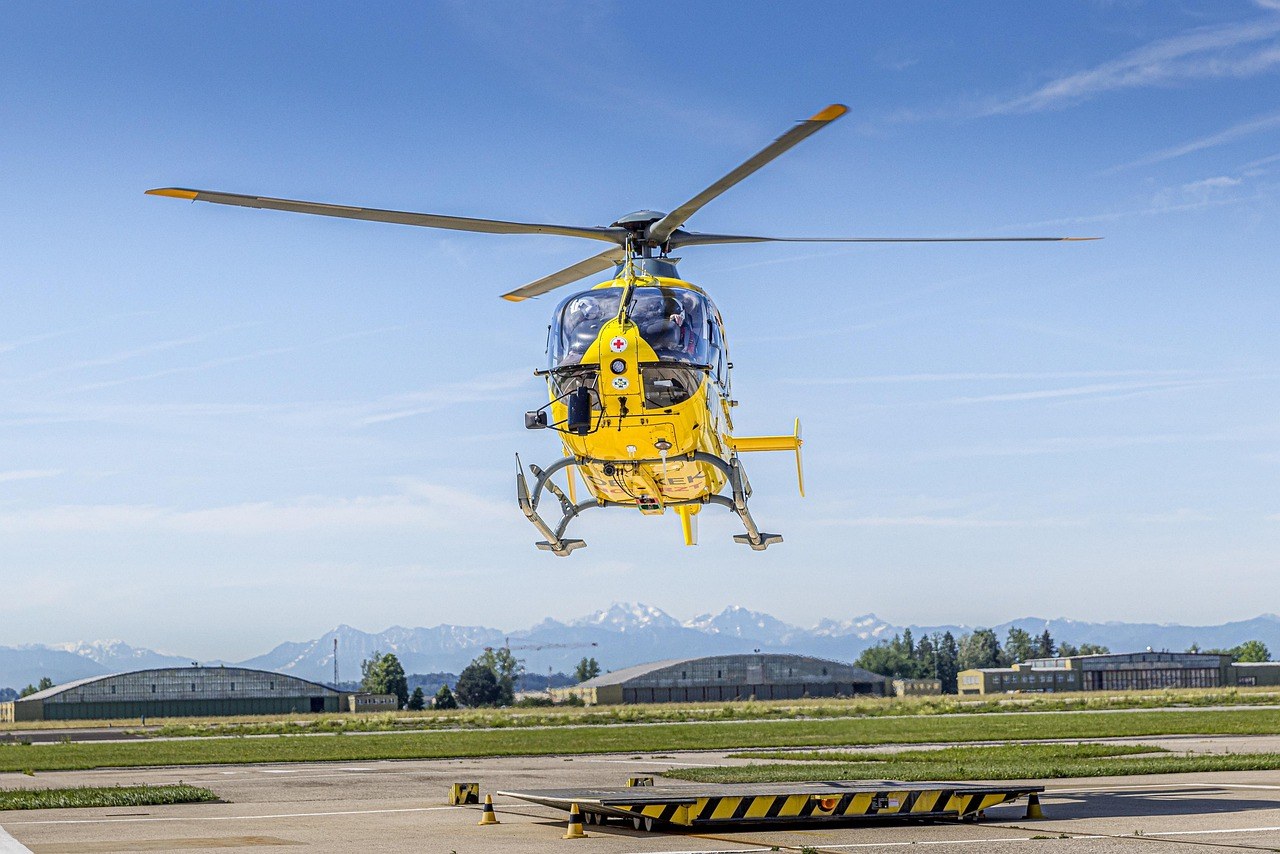 Hipoglikemija (nizak šećer u krvi) kod pasa: simptomi, uzroci i liječenje