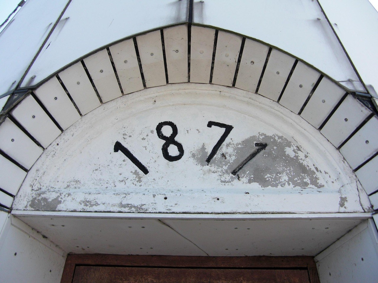 Najbolji psi za surfanje