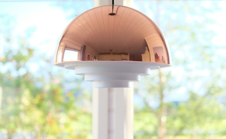 Kontuzija pluća kod pasa: simptomi, uzroci i liječenje