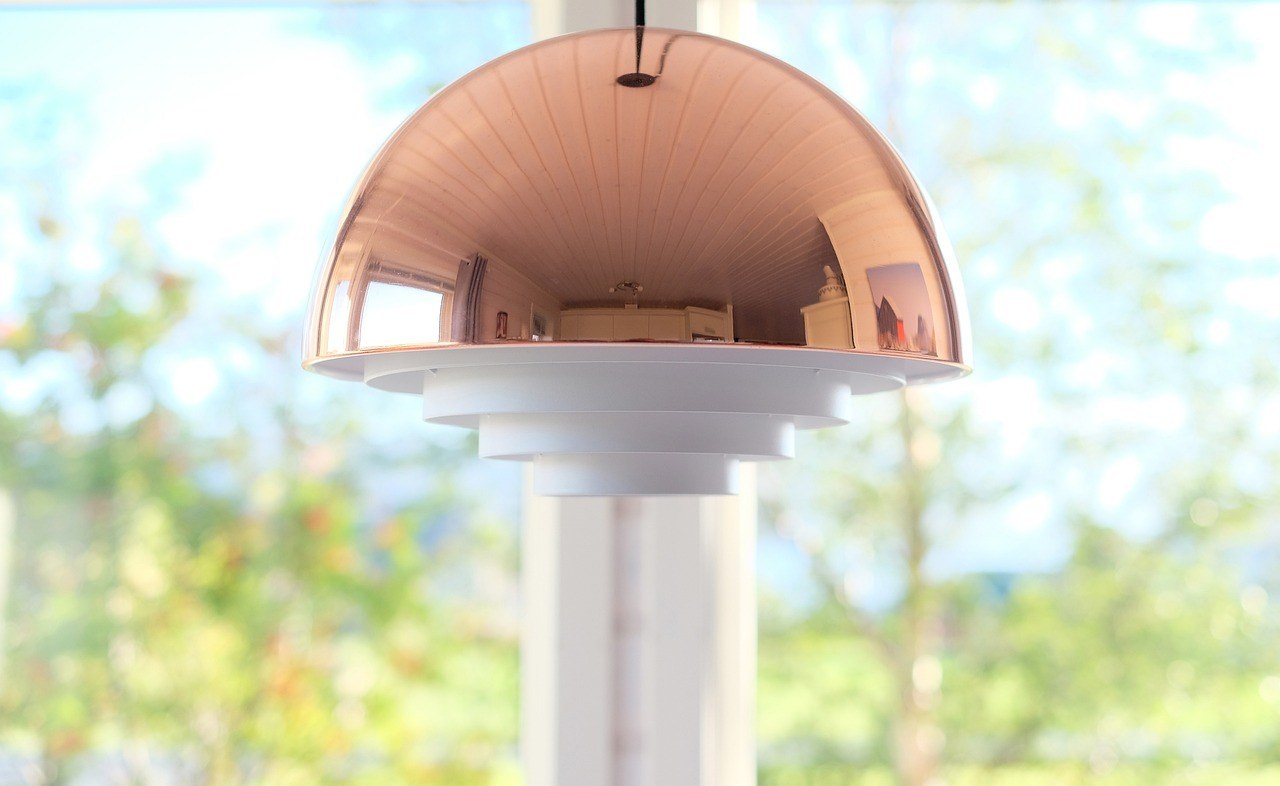 Kontuzija pluća kod pasa: simptomi, uzroci i liječenje