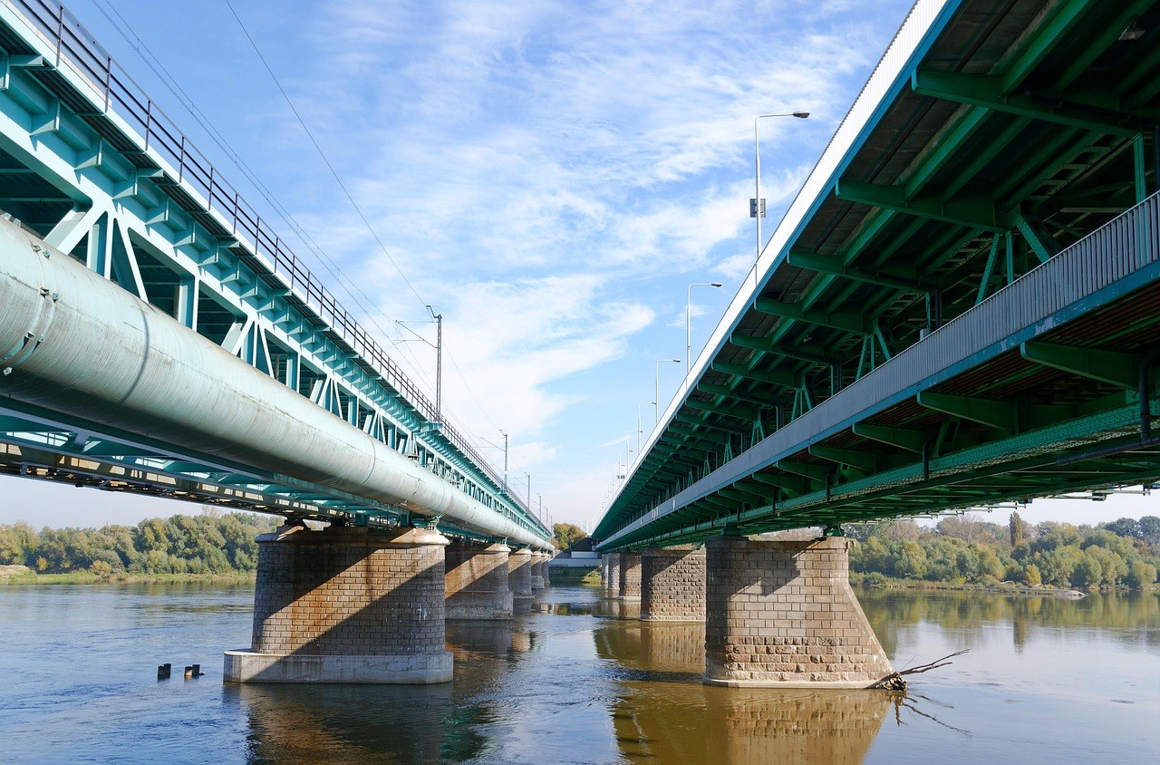 Kontuzija pluća kod pasa: simptomi, uzroci i liječenje