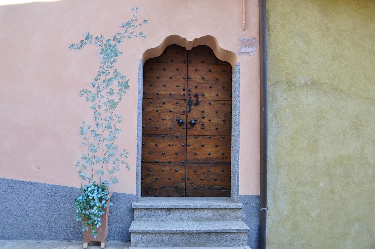 Katarakta kod pasa: uzroci, liječenje i oporavak