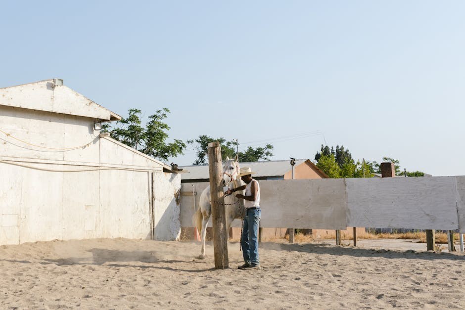 Katarakta kod pasa: uzroci, liječenje i oporavak