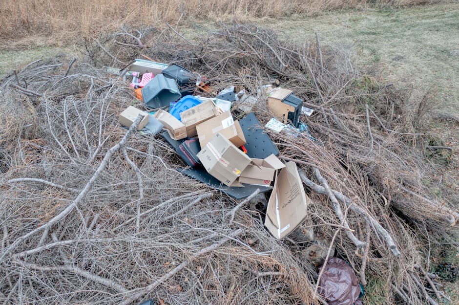 Smiju li psi jesti fajite i je li to sigurno?