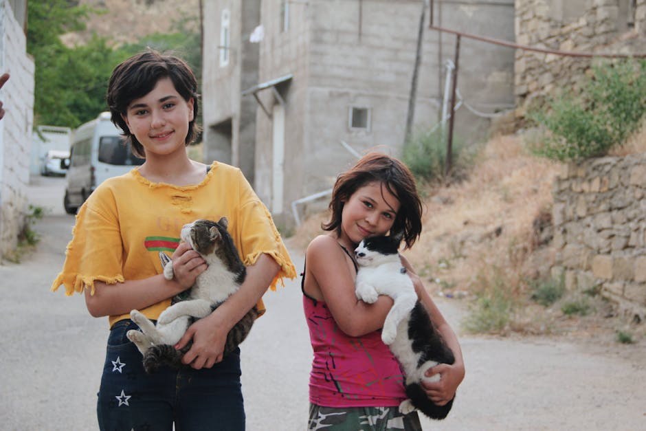 Suženje srčanih zalistaka (mitralnog i trikuspidnog) kod pasa: simptomi, uzroci i liječenje