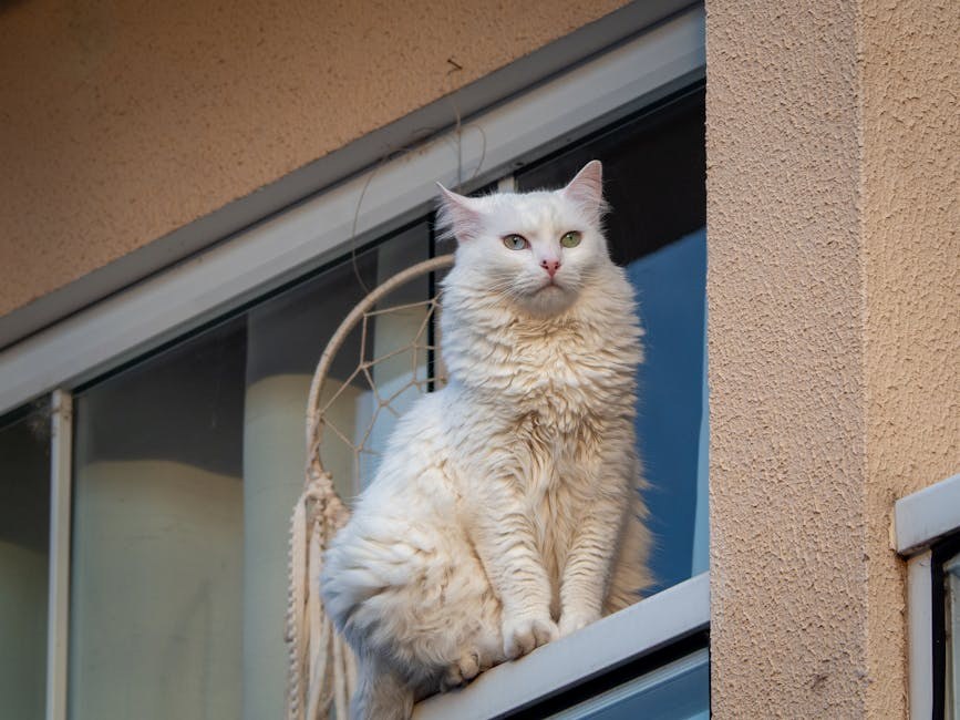 Smiju li psi jesti sojin sir i je li siguran?