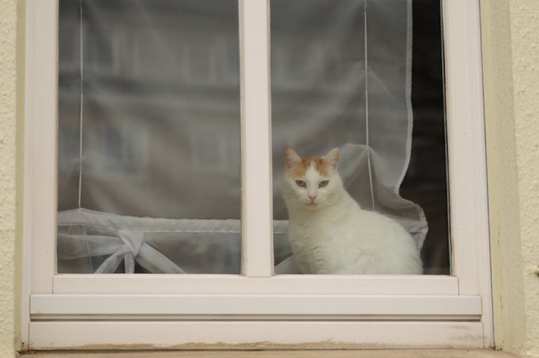 Panosteitis kod pasa: simptomi, uzroci i liječenje