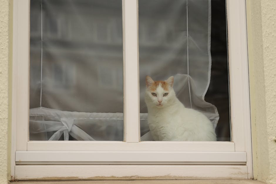 Panosteitis kod pasa: simptomi, uzroci i liječenje