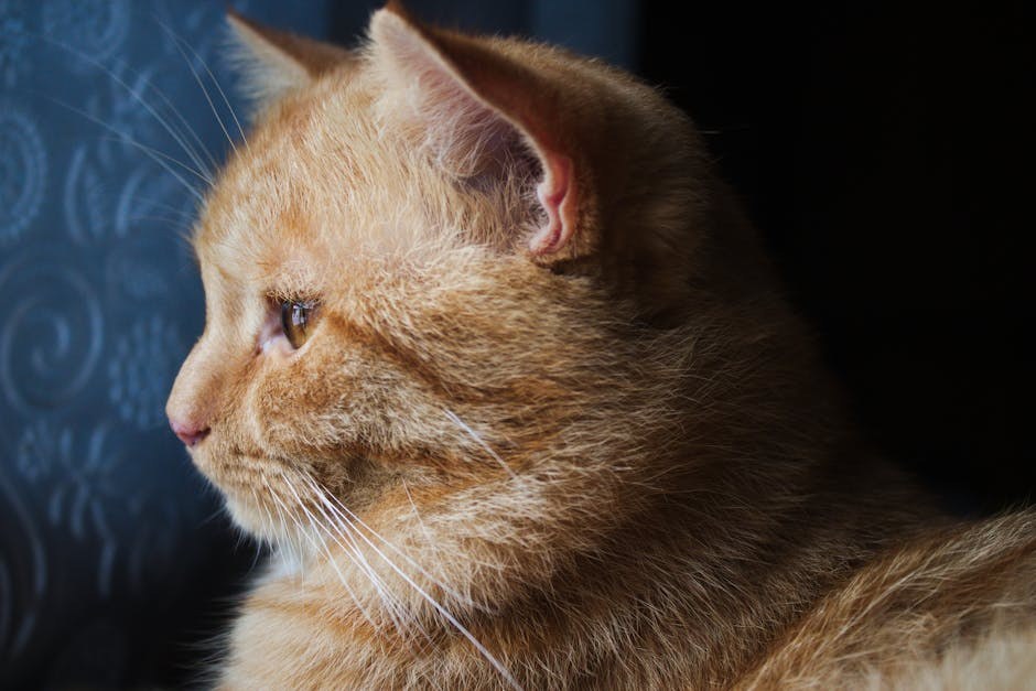 Smiju li psi jesti crni papar? Je li začin siguran za njih?