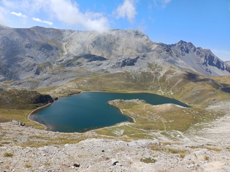 Bolesti srca kod pasa