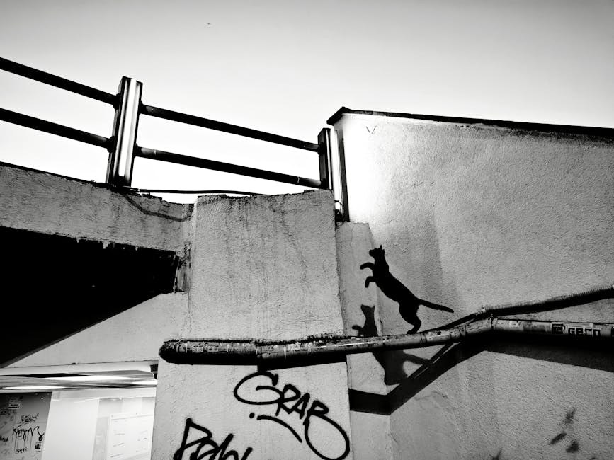 Osteohondritis dissekans u pasa