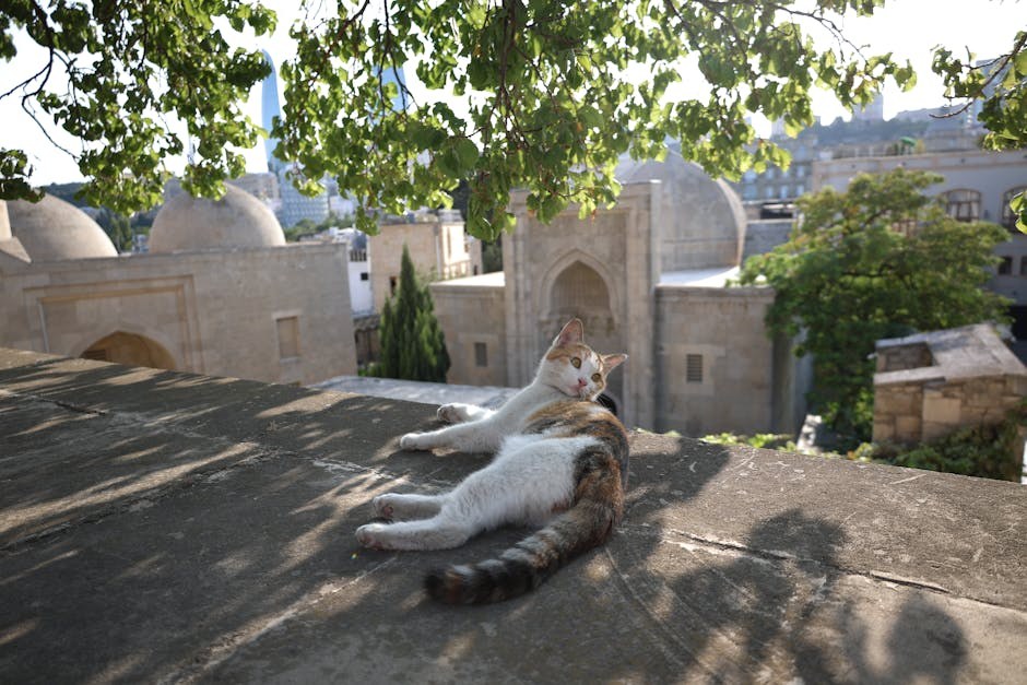 Mikotoksikoza kod pasa uzrokovana tremogenic toxins : simptomi, uzroci i liječenje