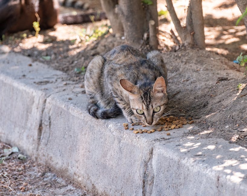 Komparativna onkologija spašava pse i ljude od raka