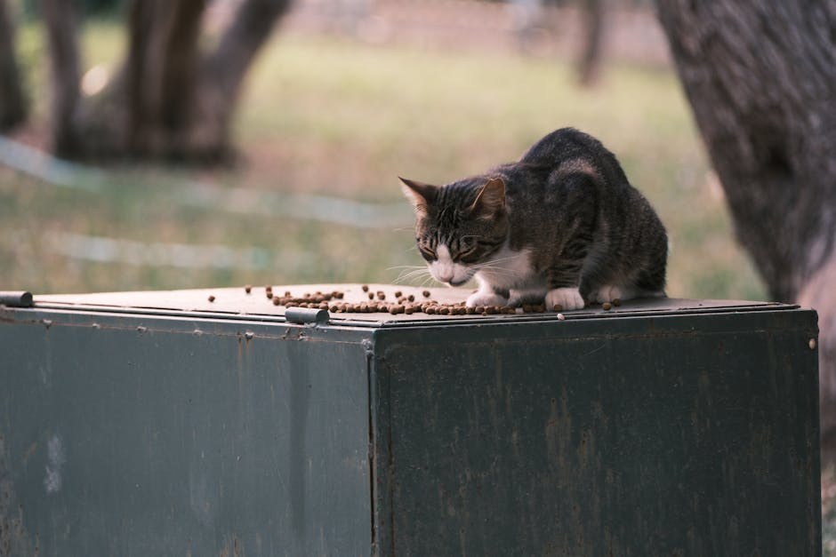 Komparativna onkologija spašava pse i ljude od raka