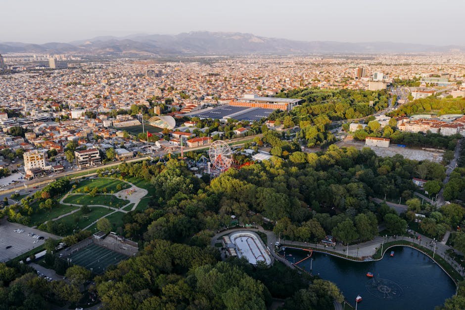 Kronična upala jetre kod pasa: simptomi, uzroci i liječenje