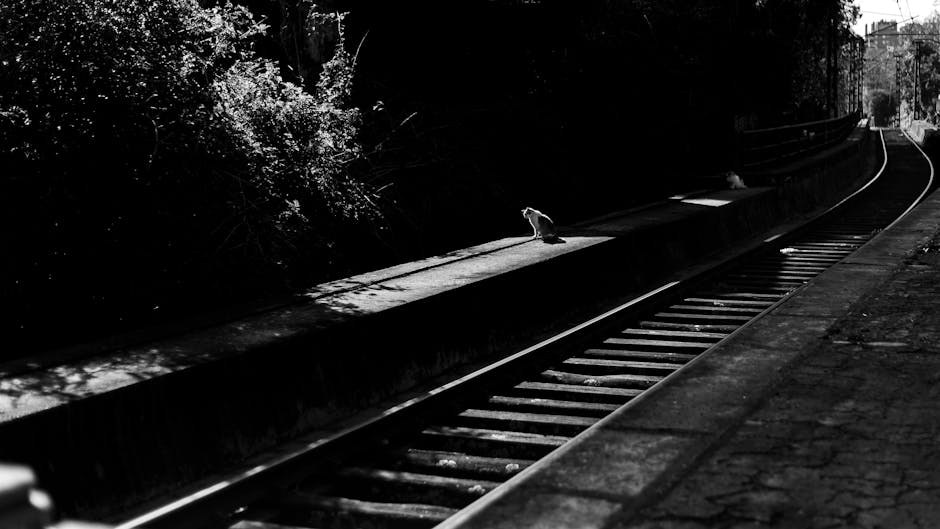 Smiju li psi jesti rižine krekere i jesu li sigurni?