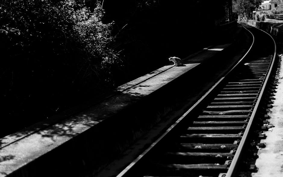 Infekcija Neospora caninum kod pasa: simptomi, uzroci i liječenje