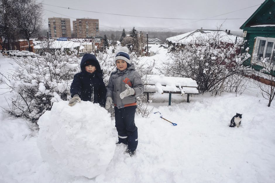 Je li sauerkraut siguran za pse - i smiju li ga uopće jesti?