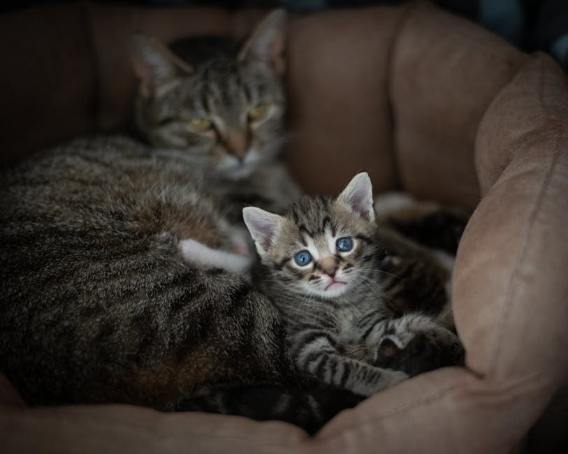 Je li hrana za pse iz trgovine doista hranjiva?