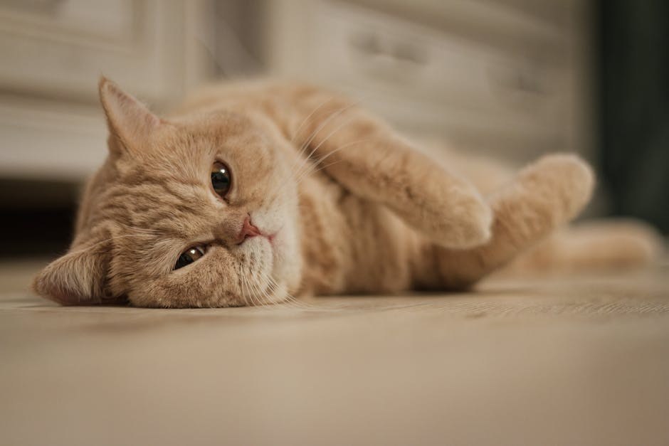 Je li hrana za pse iz trgovine doista hranjiva?