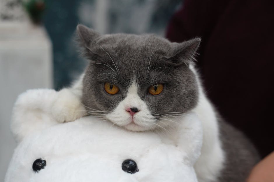 Adenokarcinom ceruminoznih žlijezda kod pasa: simptomi, uzroci i liječenje