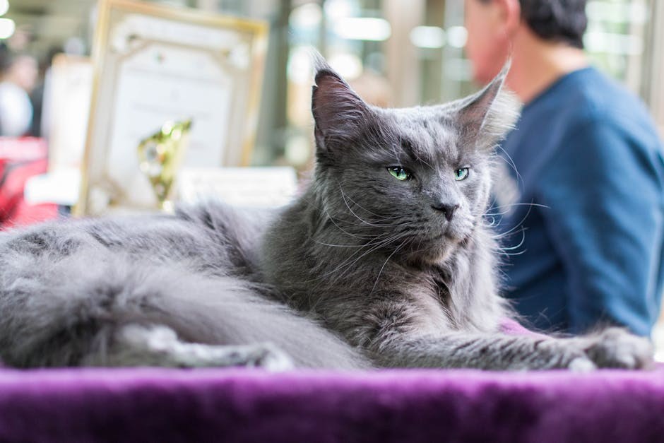 Bijela pseća kakica: je li opasna i odakle dolazi?