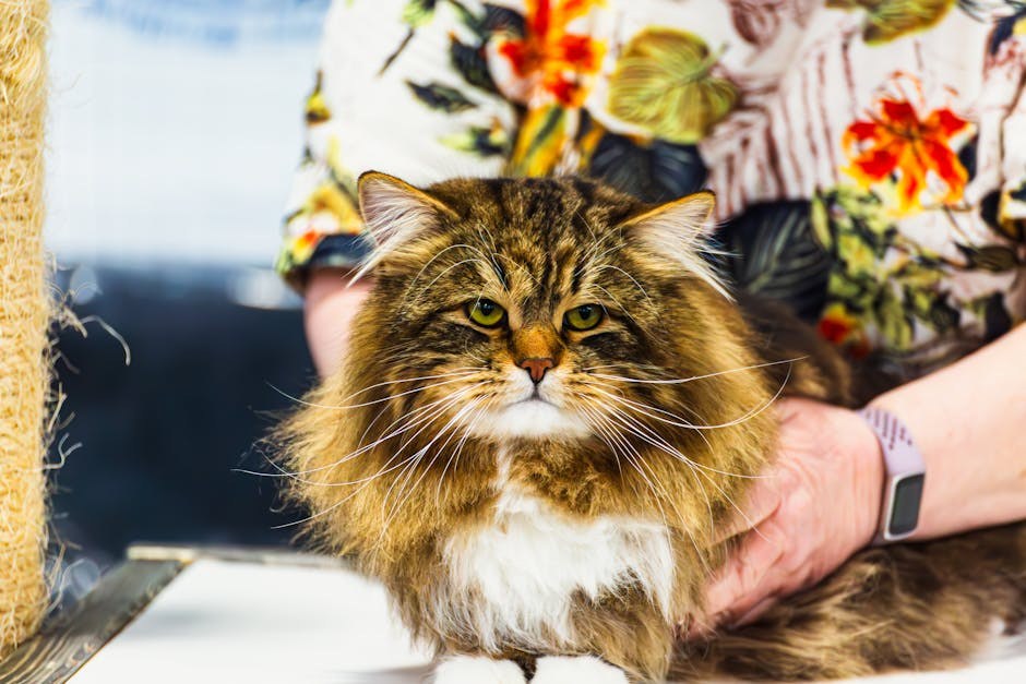 Bijela pseća kakica: je li opasna i odakle dolazi?
