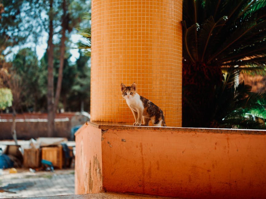 Smiju li psi jesti musaku i je li to sigurno?
