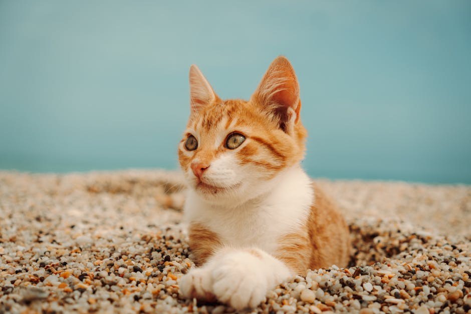 Smiju li psi jesti sjemenke sezama? Je li takva poslastica sigurna?