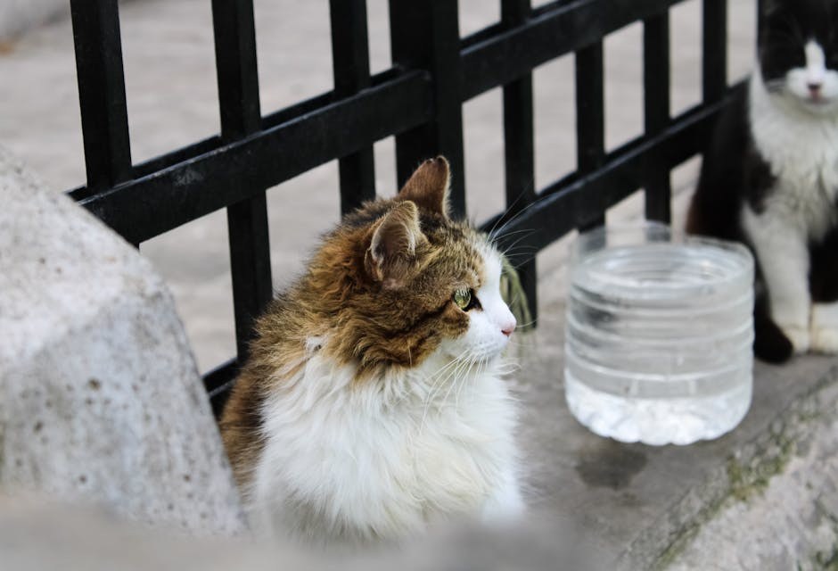 Bučno disanje kod pasa: simptomi, uzroci i liječenje