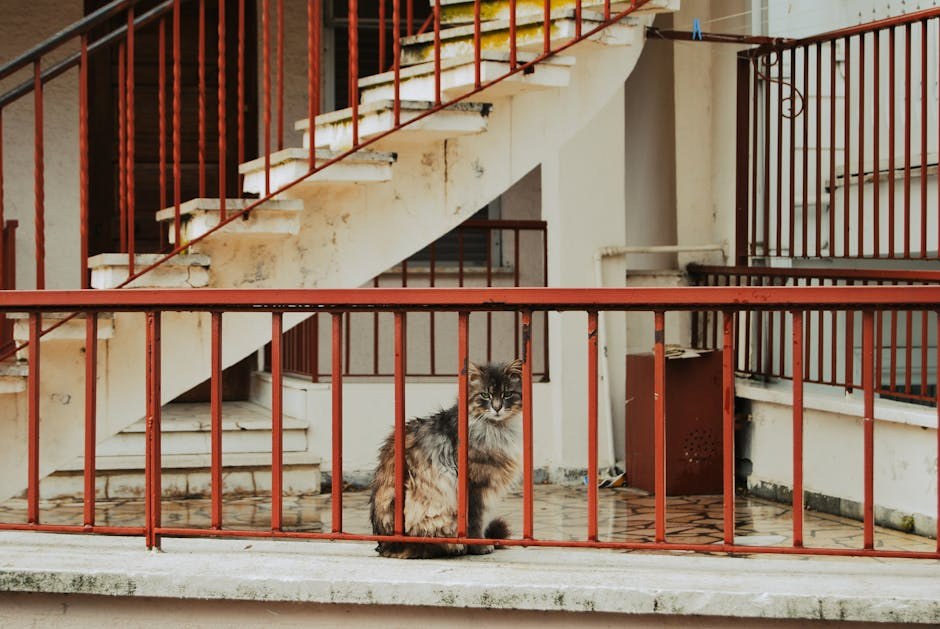 Smiju li psi jesti sjemenke sezama? Je li takva poslastica sigurna?