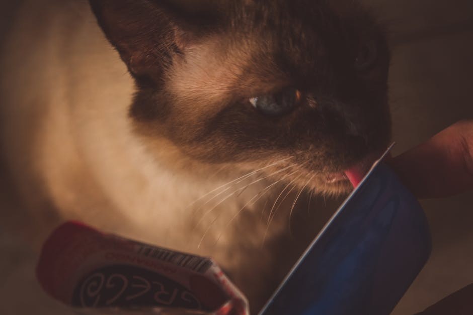 Smiju li psi jesti sjemenke sezama? Je li takva poslastica sigurna?