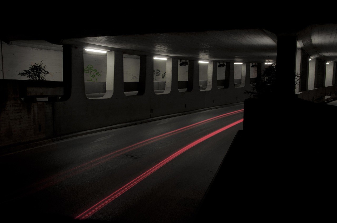 Bolest kontrakcije mišića kod pasa: simptomi, uzroci i liječenje