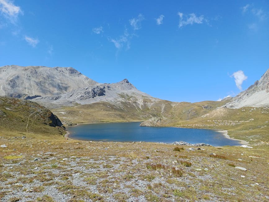 Sve što vam treba za planinarenje sa psom