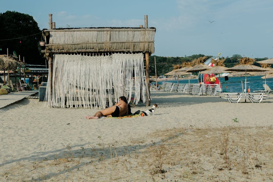 Sve što vam treba za planinarenje sa psom