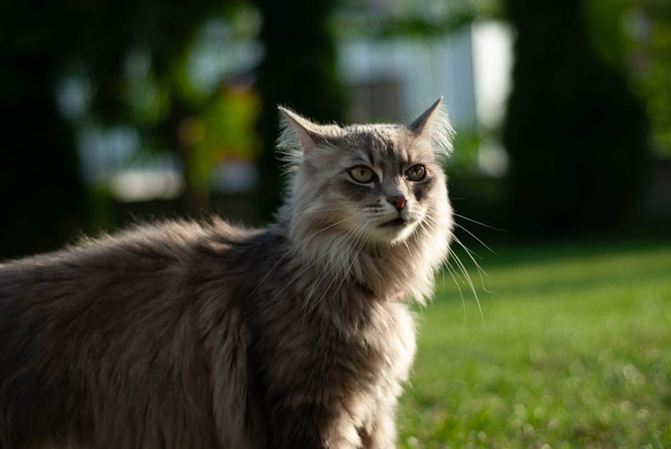 Purina opoziva hranu za pse zbog mogućeg rizika od toksičnosti