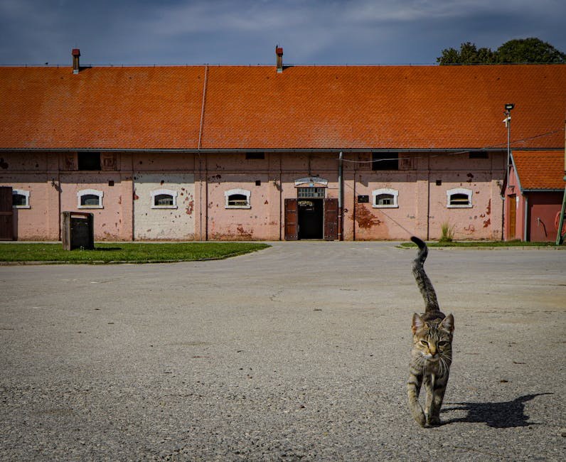 Sve što vam treba za planinarenje sa psom