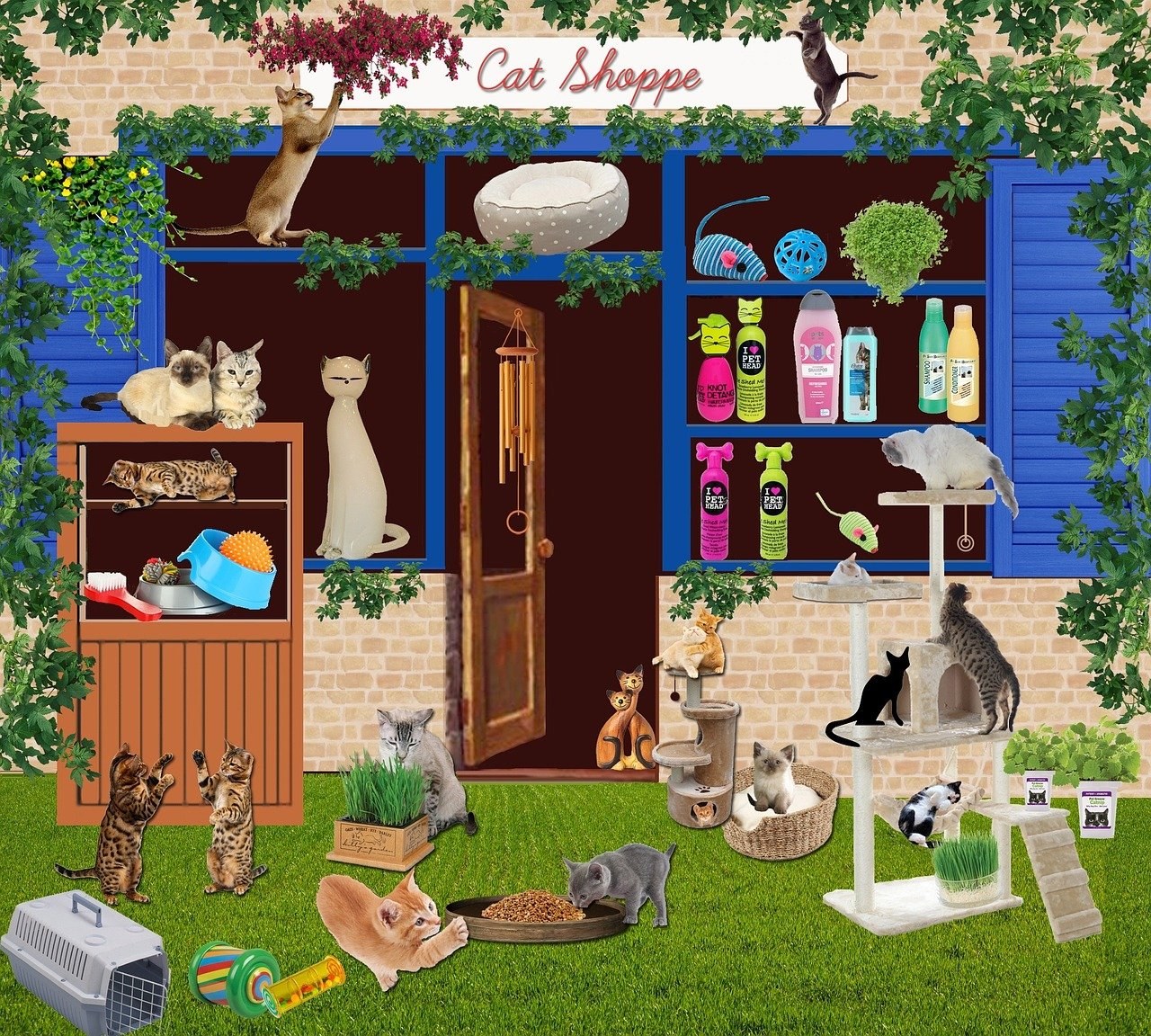 Neuropatska bol kod pasa: simptomi, uzroci i liječenje