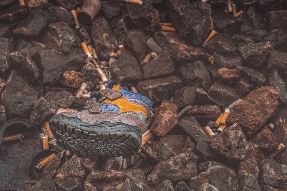 Smiju li psi jesti ružmarin - je li siguran?