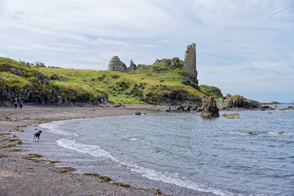 Infekcija oka u novorođenih pasa: simptomi, uzroci i liječenje